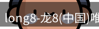 龙八官网